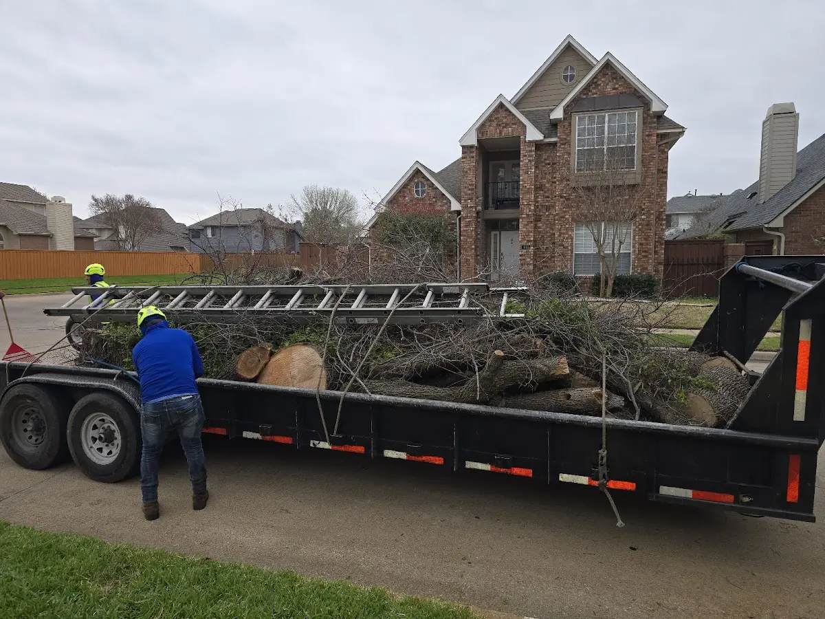 Expert Lot Clearing with proper safety equipment in Hutchinson
